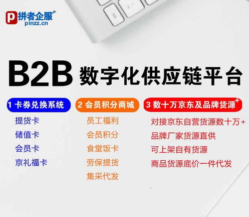 拼者企服 b2b數(shù)字化供應(yīng)鏈,會員卡券積分兌換商城,對接京東及品牌商品數(shù)十萬種貨源