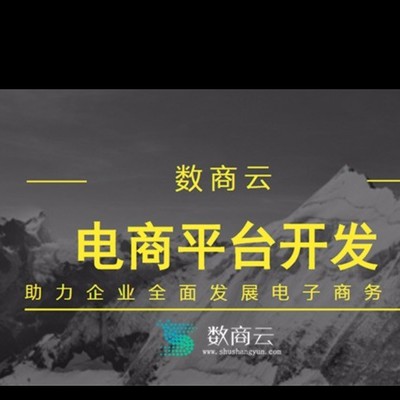 B2B電商平臺搭建批發_B2B2C/B2C電商平臺搭建廠家_新零電商售平臺開發廠家直銷