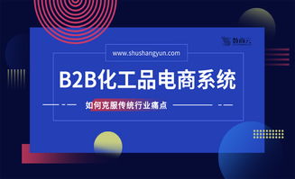 化工行業(yè)b2b網(wǎng)站,未來幾年發(fā)展重點(diǎn)