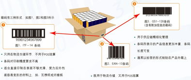 箱碼專題
