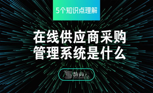 5個知識點理解在線b2b供應商采購管理系統是什么